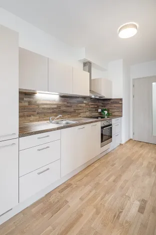 Pronájem bytu 2+kk, Praha - Hloubětín, Waltariho, 52 m2