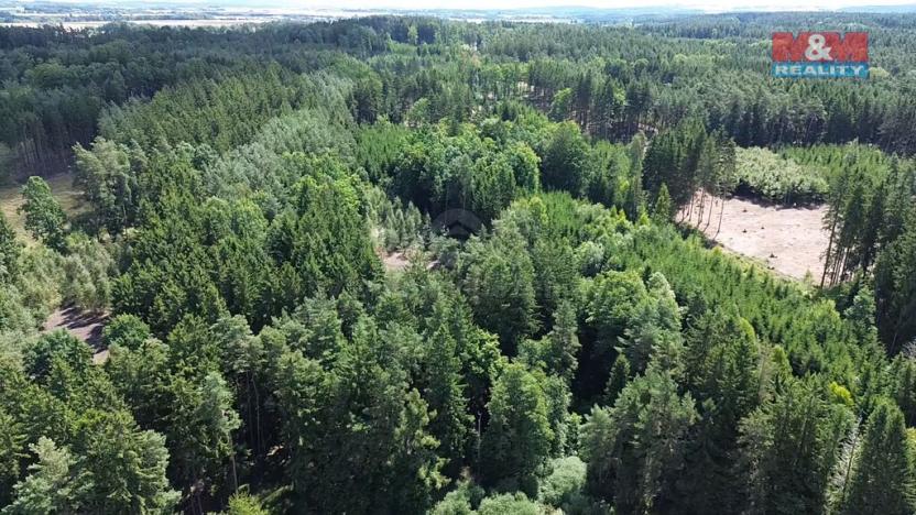 Prodej lesa, Opařany - Olší, 5323 m2