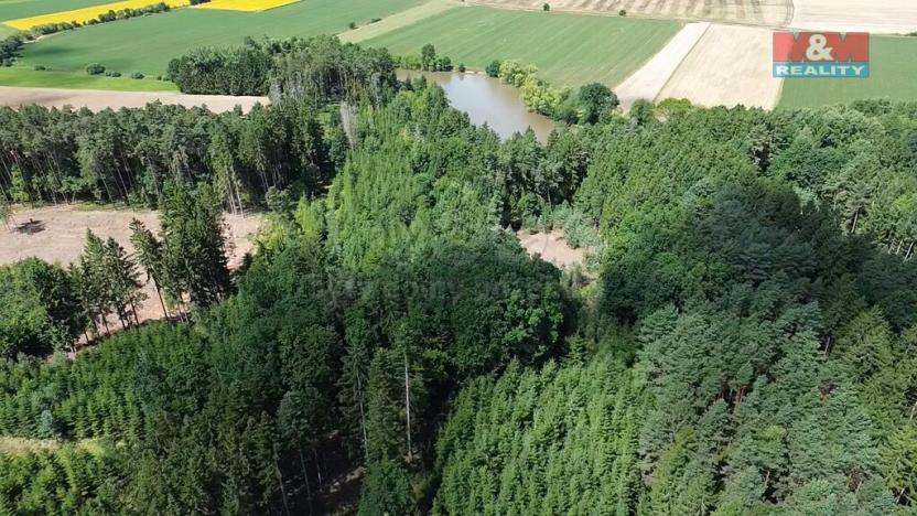 Prodej lesa, Opařany - Olší, 5323 m2