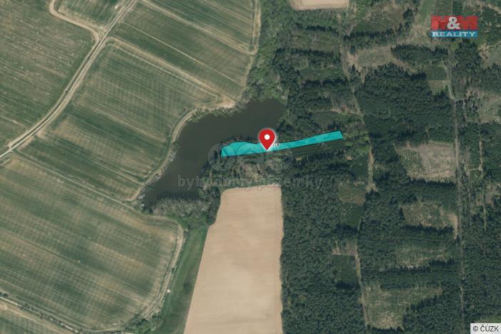 Prodej lesa, Opařany - Olší, 5323 m2