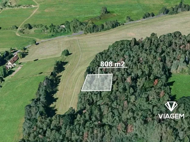 Prodej lesa, Nezamyslice, 808 m2