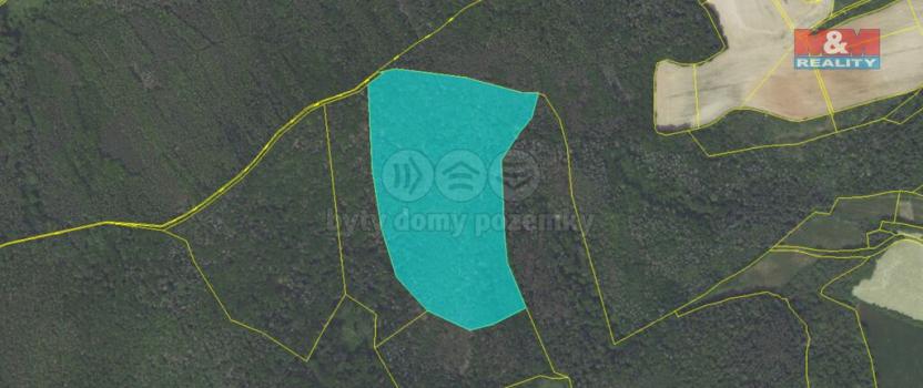 Prodej lesa, Trubín, 62499 m2