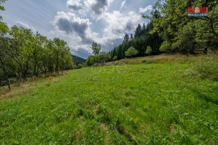 Prodej louky, Halenkov, 1784 m2