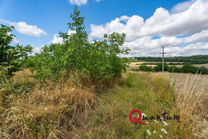 Prodej pozemku pro bydlení, Brandýsek, Pod lékárnou, 2715 m2