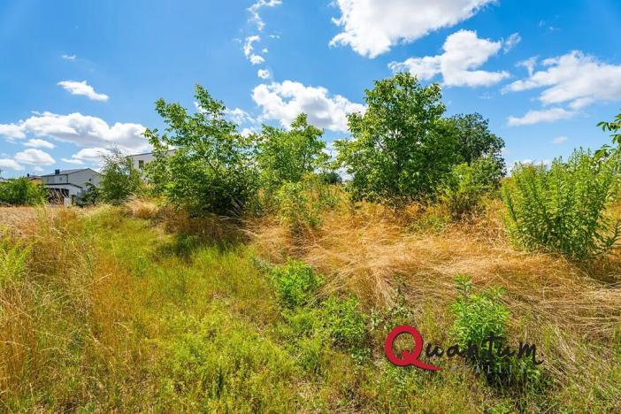 Prodej pozemku pro bydlení, Brandýsek, Pod lékárnou, 2715 m2