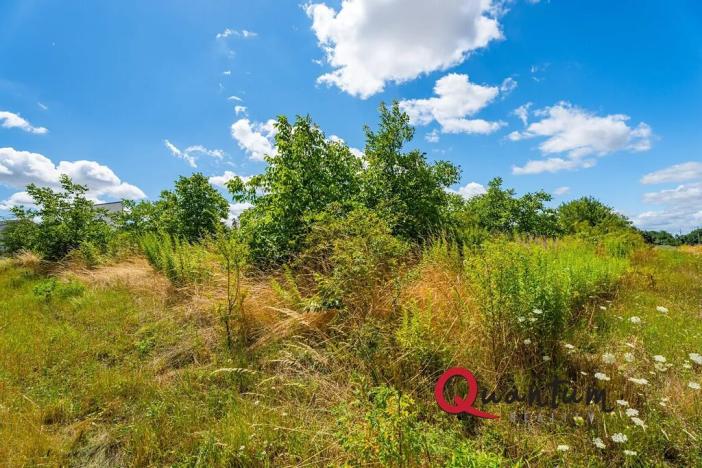 Prodej pozemku pro bydlení, Brandýsek, Pod lékárnou, 2715 m2