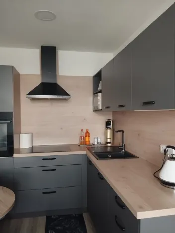 Prodej bytu 1+kk, Most, Česká, 33 m2