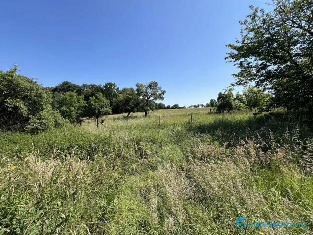 Prodej komerční nemovitosti, Horní Bludovice, 440 m2