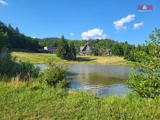 Prodej bytu 2+kk, Všemina, 47 m2