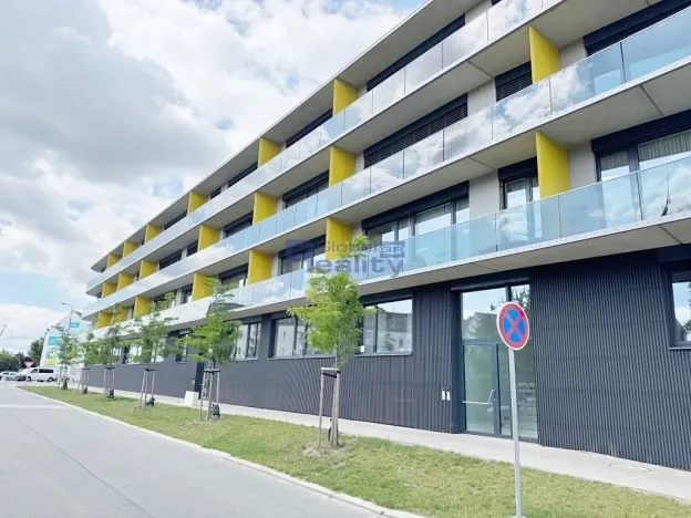 Pronájem bytu 1+kk, Hradec Králové, Pálenecká, 46 m2