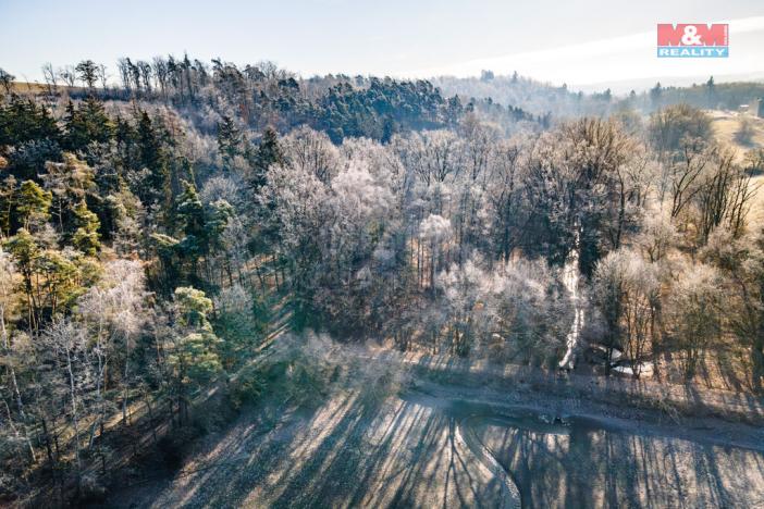 Prodej lesa, Horšovský Týn, 685 m2