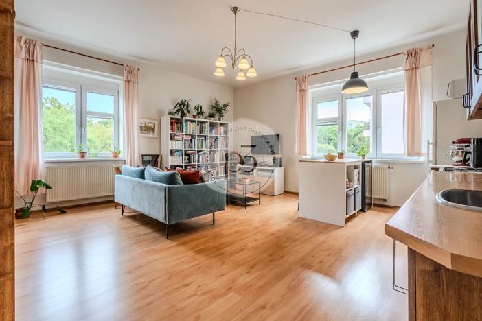 Pronájem bytu 2+kk, Praha - Žižkov, Křišťanova, 55 m2