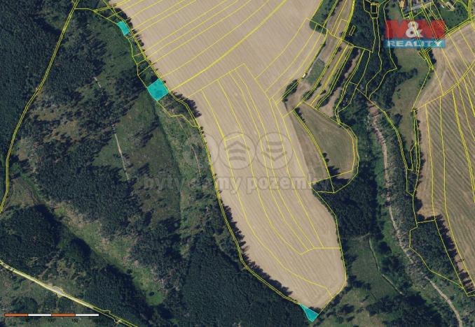 Prodej lesa, Nýrov, 11459 m2