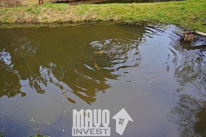 Prodej zemědělského objektu, Bohdalovice, 559 m2