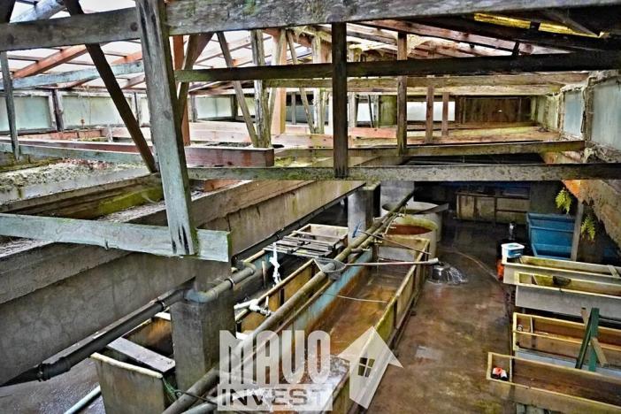 Prodej zemědělského objektu, Bohdalovice, 559 m2