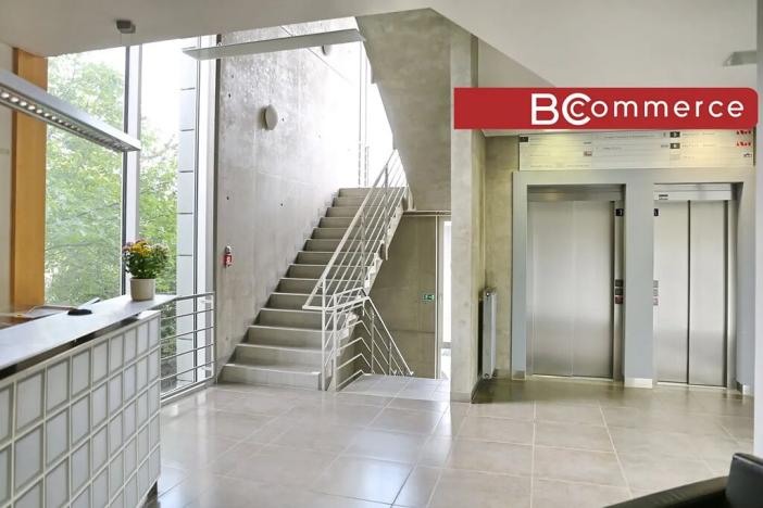 Pronájem kanceláře, Brno, 247 m2