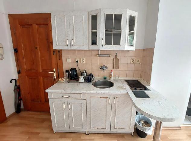 Pronájem bytu 1+1, Praha - Žižkov, Krásova, 30 m2