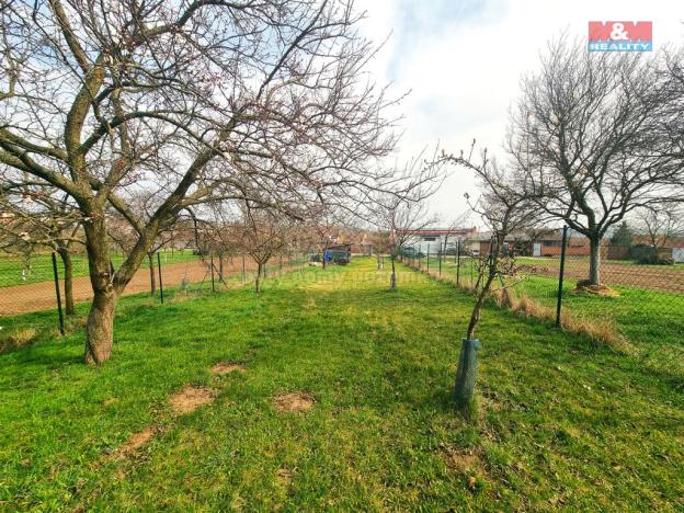 Prodej pole, Starý Poddvorov, 4096 m2