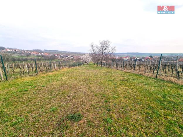 Prodej pole, Starý Poddvorov, 4096 m2