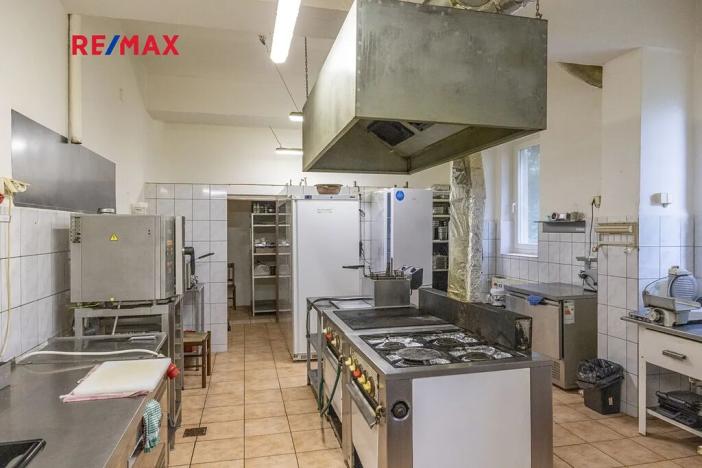 Prodej obchodního prostoru, Čelákovice, Rumunská, 794 m2