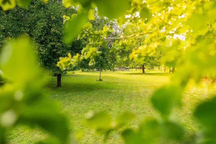 Prodej pozemku pro bydlení, Úvaly, U Výmoly, 1794 m2