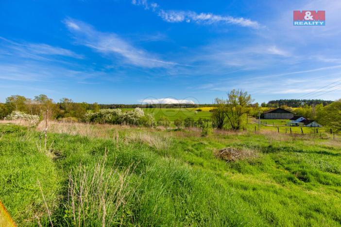 Prodej zemědělského objektu, Černovice, 4026 m2