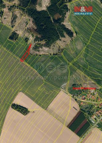 Prodej louky, Čechtice, 3113 m2