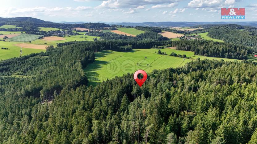 Prodej lesa, Petrovice u Sušice - Maršovice, 15707 m2