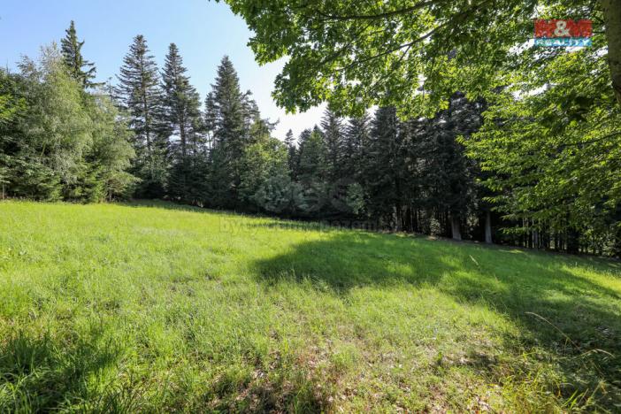 Prodej lesa, Petrovice u Sušice - Maršovice, 15707 m2