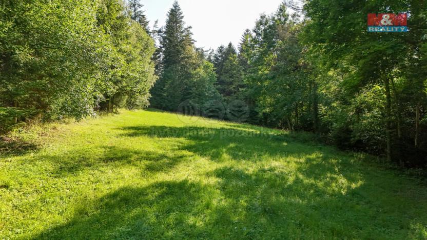 Prodej lesa, Petrovice u Sušice - Maršovice, 15707 m2