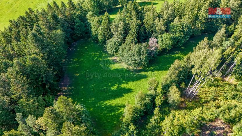 Prodej lesa, Petrovice u Sušice - Maršovice, 15707 m2