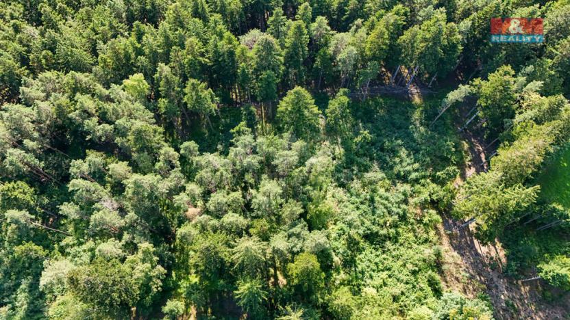 Prodej lesa, Petrovice u Sušice - Maršovice, 15707 m2