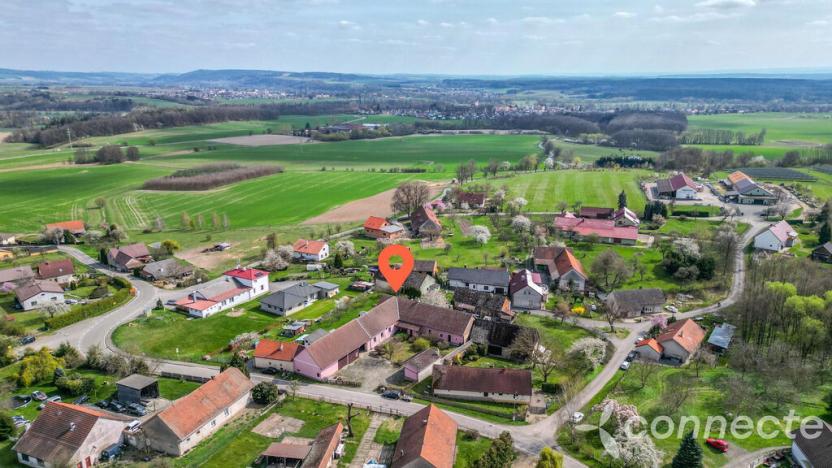 Prodej komerční, Hřibiny-Ledská - Hřibiny, 196 m2