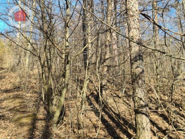 Prodej zahrady, Nová Lhota, 654 m2