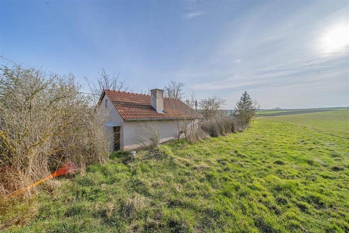 Prodej ostatní, Schrattenberg, Rakousko