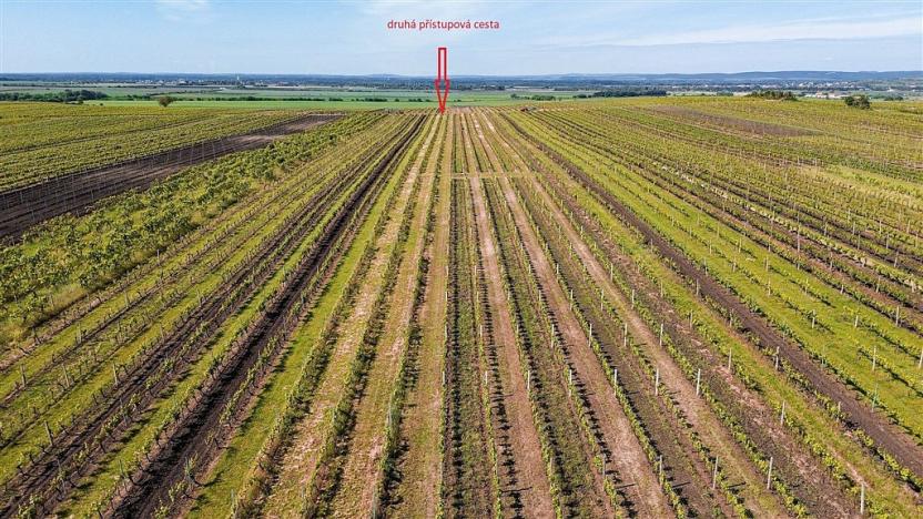 Prodej pole, Velké Bílovice, 3706 m2