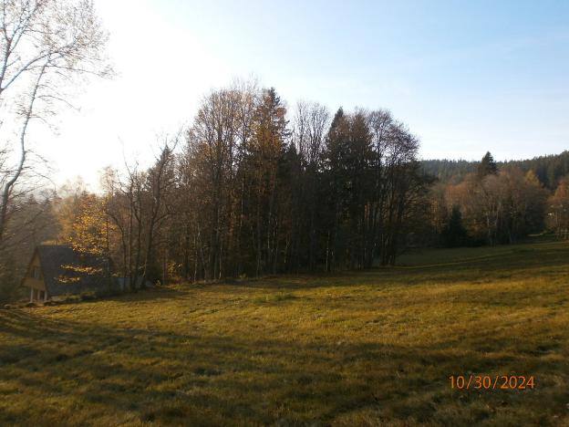 Prodej pozemku, Železná Ruda - Hojsova Stráž, 4029 m2