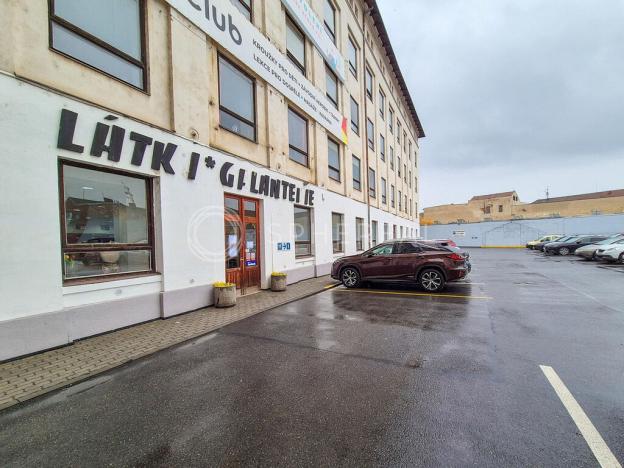 Pronájem obchodního prostoru, Brno - Staré Brno, Václavská, 710 m2