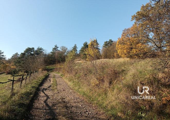 Prodej pozemku, Letovice, 2184 m2