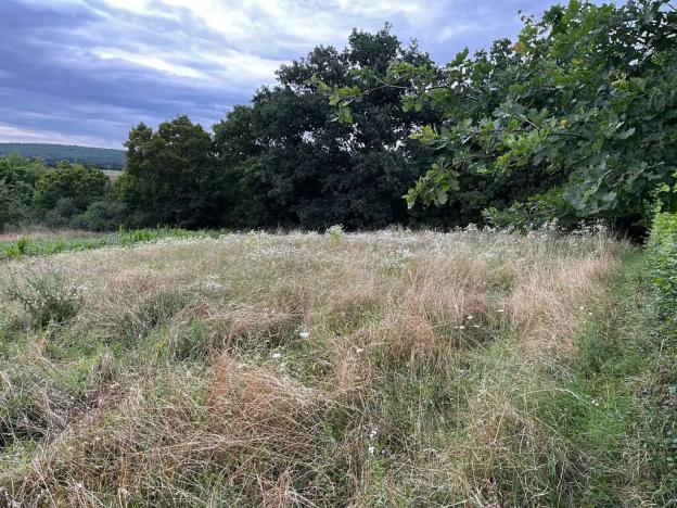 Prodej zahrady, Oslavany, 3447 m2