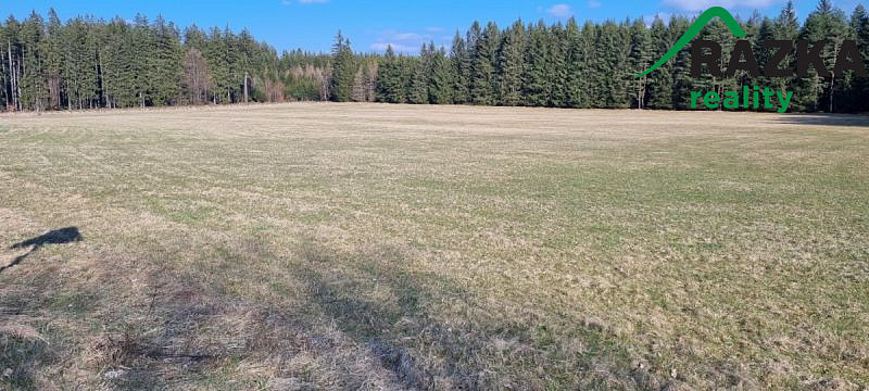 Prodej pole, Chodský Újezd, 37459 m2