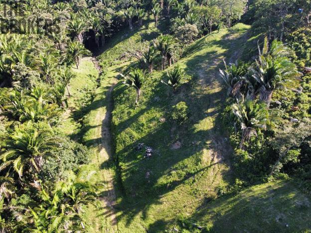 Prodej pozemku, Coxen Hole, Roatán, Honduras, 400 m2