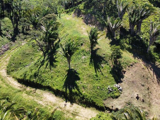 Prodej pozemku, Coxen Hole, Roatán, Honduras, 481 m2