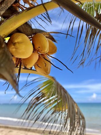 Prodej chaty, Coxen Hole, Roatán, Honduras, 91 m2