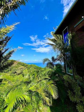 Prodej rodinného domu, Coxen Hole, Roatán, Honduras, 1452 m2
