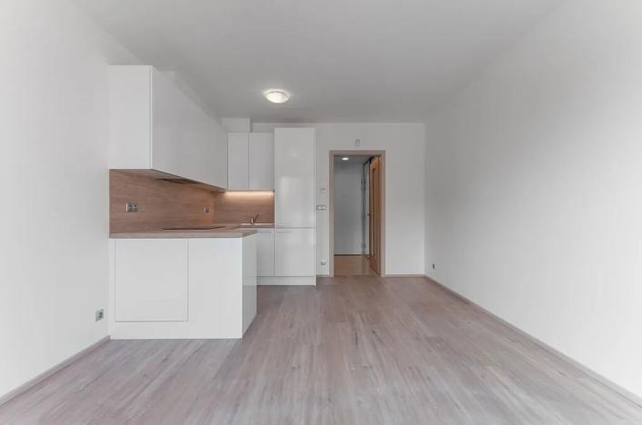 Pronájem bytu 1+kk, Praha - Vysočany, Bassova, 29 m2