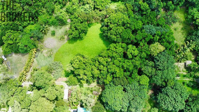 Prodej pozemku, Coxen Hole, Roatán, Honduras, 8984 m2