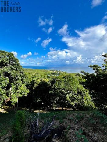 Prodej pozemku, Coxen Hole, Roatán, Honduras, 1000 m2