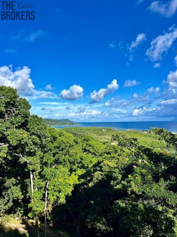 Prodej pozemku, Coxen Hole, Roatán, Honduras, 1000 m2
