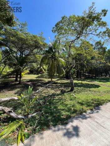 Prodej pozemku, Coxen Hole, Roatán, Honduras, 842 m2